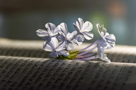 结婚祝福语简短精辟精选 结婚祝福语简短