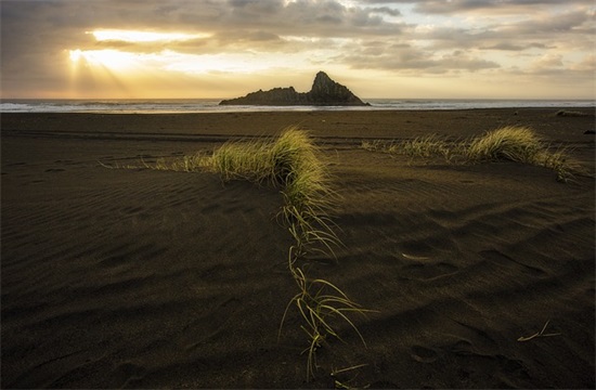 最新世界地球日快乐祝福语(世界地球日的宣传语)