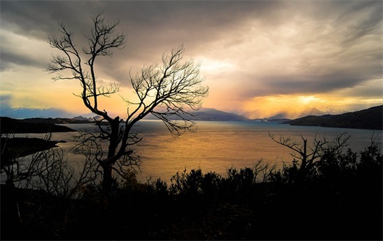 2025年春节动态祝福语56句