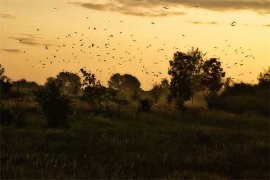 新年对女儿的祝福话语 新年贺词祝福语2025