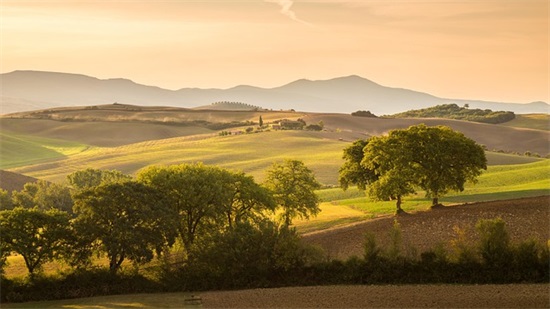 同事离开的祝福语52句