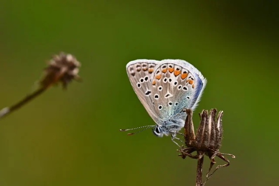 2025年新年给客户祝福语56句