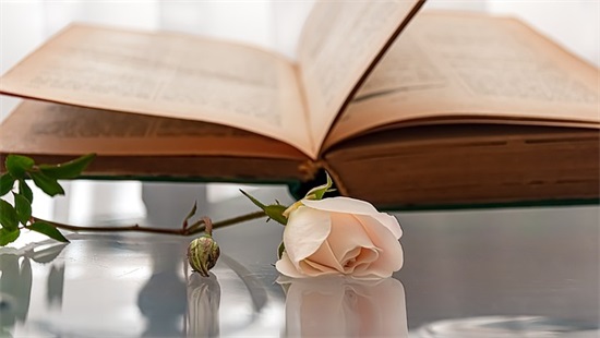 关于胖子的经典语录82句