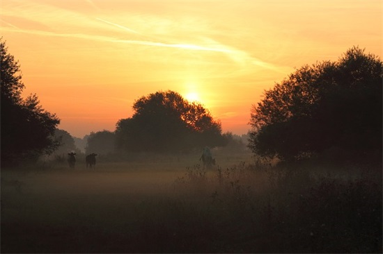 感恩企业文化的经典语录