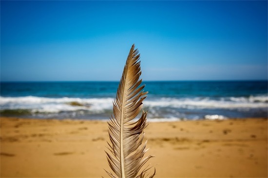 经典的心灵鸡汤语录