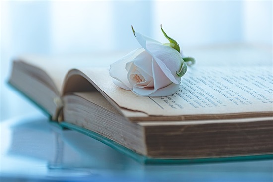 经典语录爱情伤感的说说