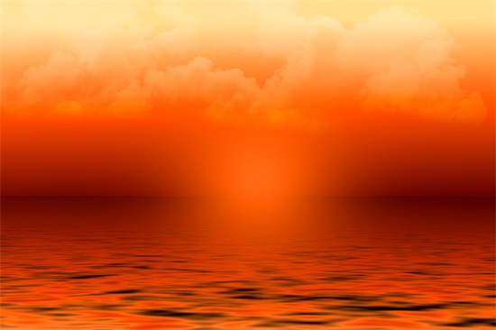 倪萍经典语录48句