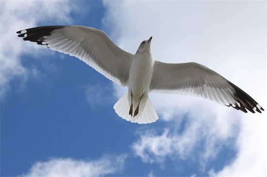 2025年正能量早安语录 奋斗早安正能量励志语