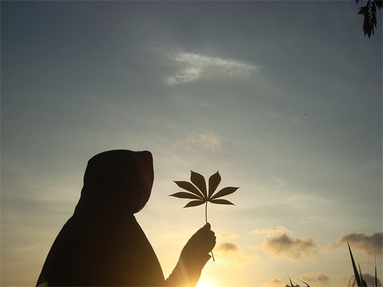 小说悲伤经典语录大全76句