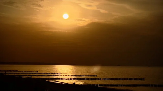 暗示表白经典语录大全