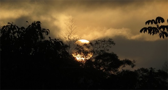 恢复单身的经典语录句子