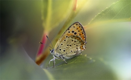 名人语录心灵鸡汤短句 励志名人经典语录