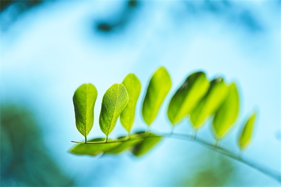 劝人节俭名言语录2025最新