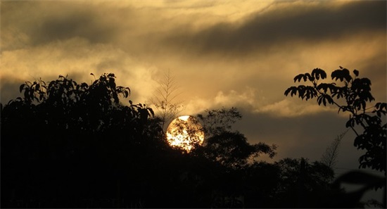 早安励志情感语录