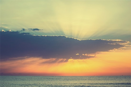 2025年搞笑语录 搞笑说说