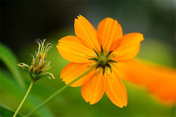 关于心情的经典语录86句