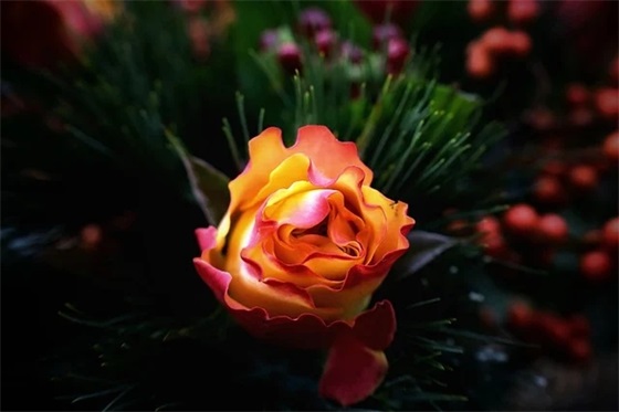 总结2025展望2025感悟语录 总结2025展望2025学生短句