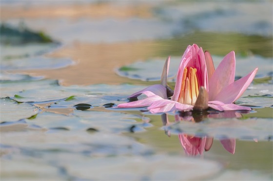人民的名义经典句子 人民的名义经典语录句子