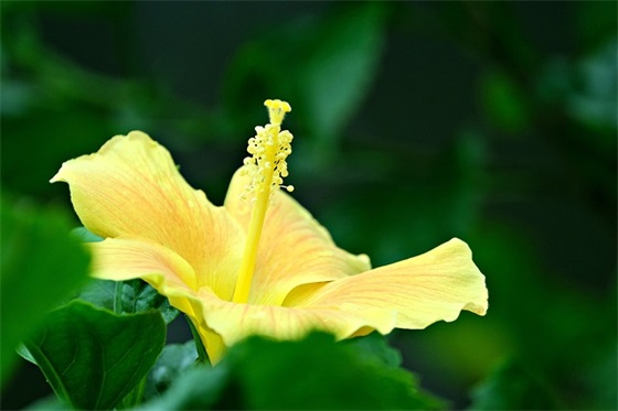 生活压力的句子 生活压力经典语录