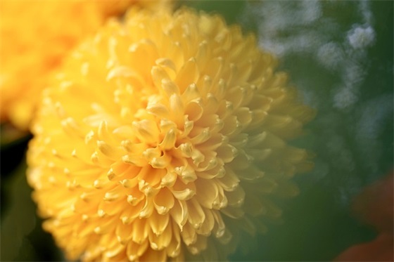 房子入火的祝福语56句