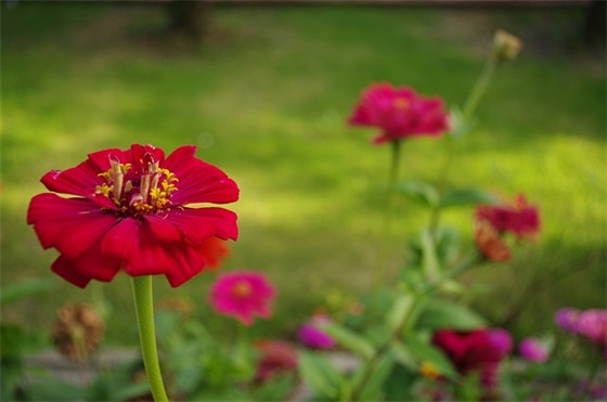 宝宝一周岁寄语简短 满一周岁宝宝祝福语