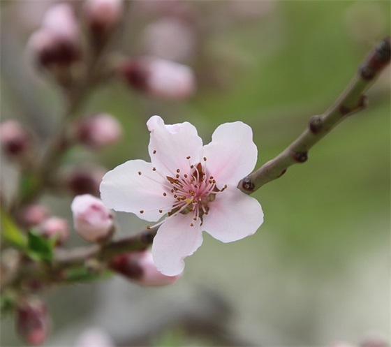 六一儿童节祝福小孩文案