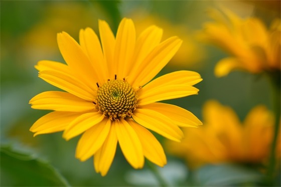 员工离职祝福语59句