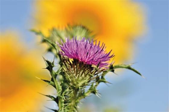 高考倒计时祝福语大全