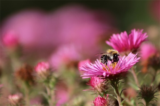 亲朋好友新年压岁钱红包祝福语精选