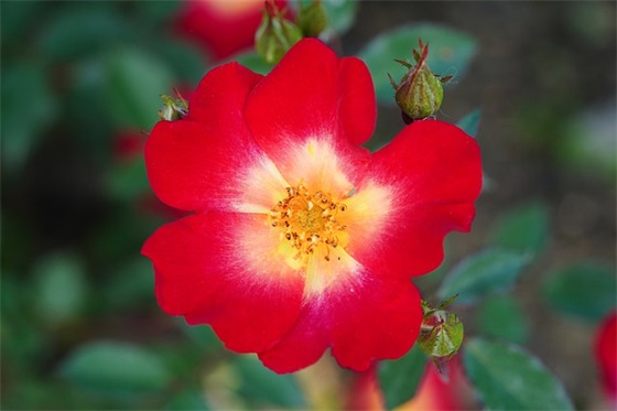 幽默一点的祝福语 幽默的考试祝福语