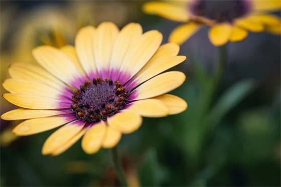 男友生日的祝福语57句