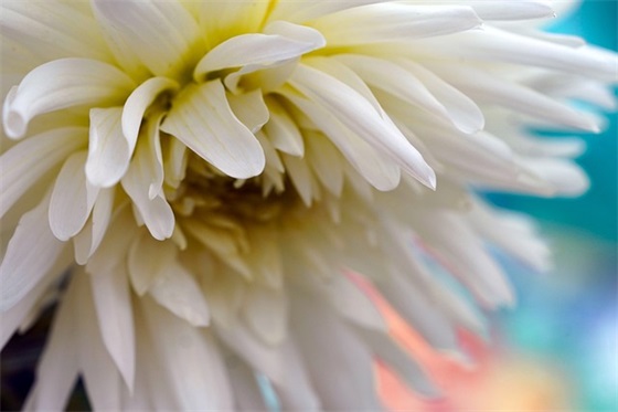 八一建军95周年的祝福语