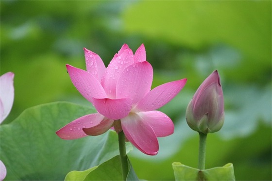 2025年高考加油的祝福语50句