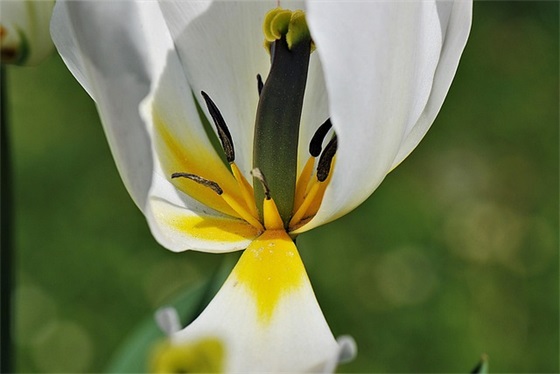 新年长辈祝福语大全54句