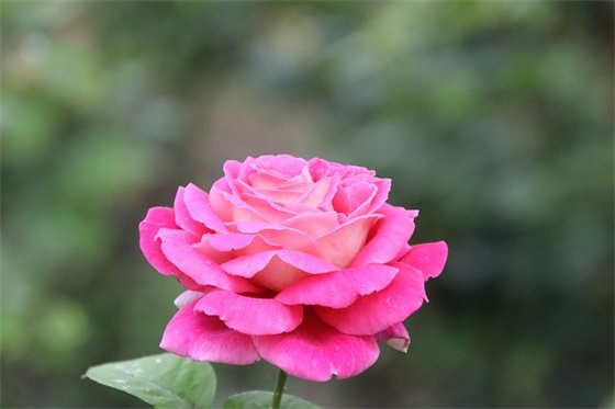 国庆节对祖国的祝福