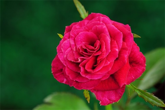 老朋友生日祝福语57句