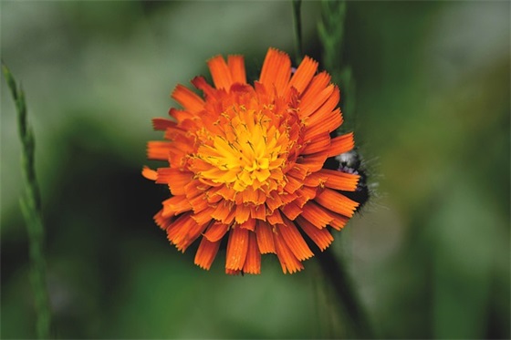 姐姐搬家的祝福语54句