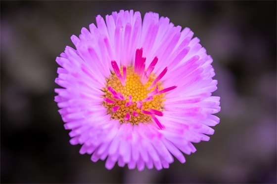 超市未来发展祝福语70句