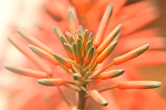 婚礼显示屏祝福语100句