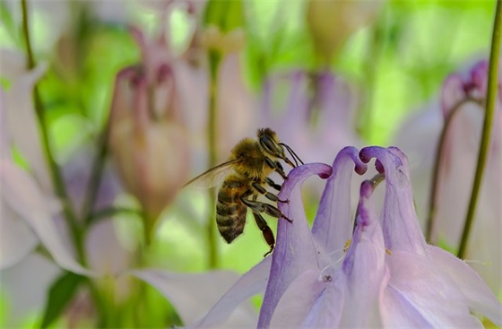 朋友饭店开业祝福语 朋友店开业祝福语