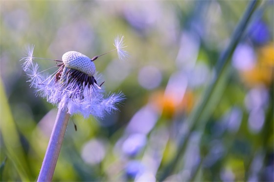 2025年过年短信祝福语54句