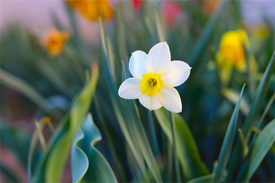 今日冬至祝福语文案 今日冬至图片祝福语