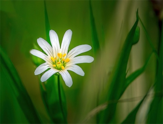 2025年高考祝贺语祝福语大全55句