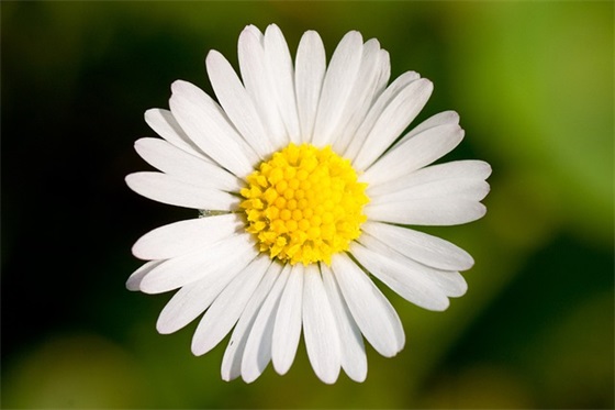 兄弟过生日祝福语56句