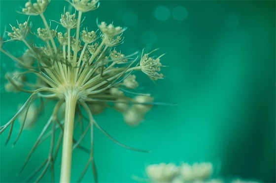 2025年宝宝祝福语大全71句