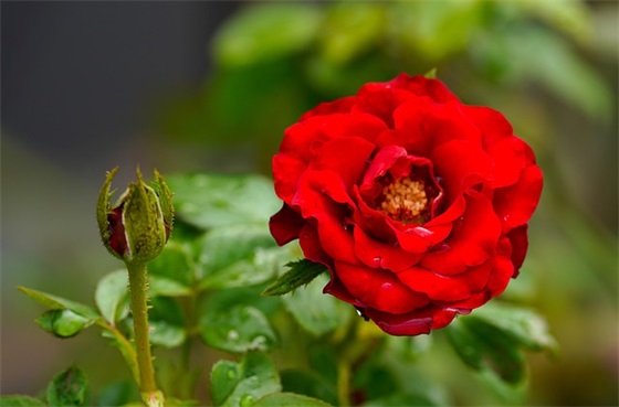 2025简短的新婚励志祝福语