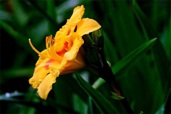 精选的劳动节祝福语 五一劳动节的说说大全