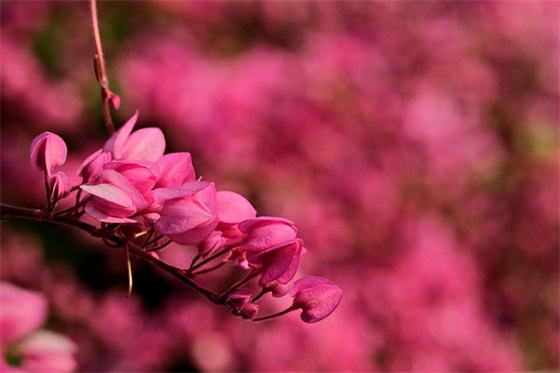 损友生日祝福语霸气52句