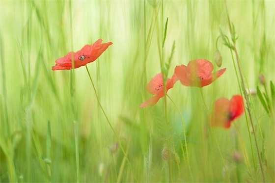 家庭事业祝福语大全48句