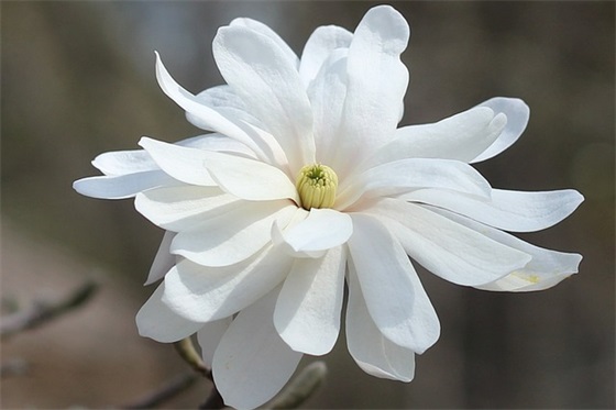 端午简单祝福语55句